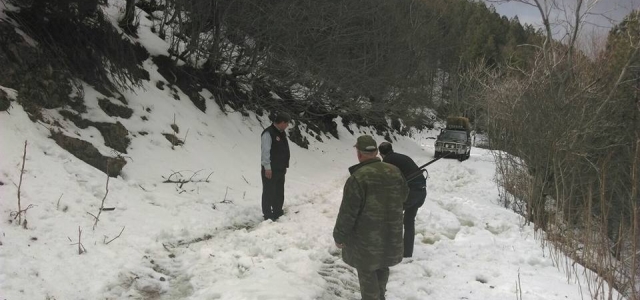 AÇ KALAN HAYVANLARA YEM BIRAKILDI