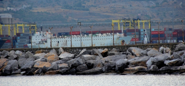 Anguslar İskenderun Limanı'nda