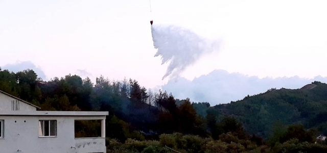 Antakya'da Orman Yangını