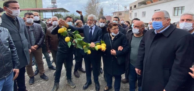 Arsuz, Doğasına Sahip Çıktı!