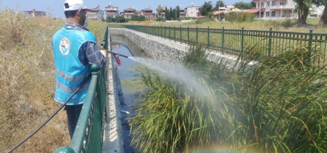 Arsuz'da 'Larva” İle Mücadele Devam Ediyor