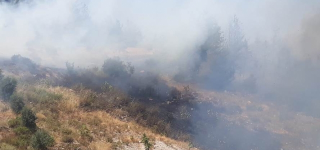 Bahçe Temizliği Orman Yangınına Neden Oldu