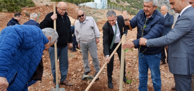 Başkan Gül, Atıl Belediye Arazilerine Hayat Veriyor…