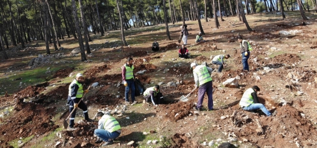 Başkan Yavaş'ın Fidanları Toprakla Buluştu