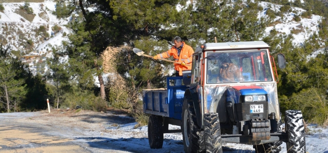 Belen'de Yol Açma ve Tuzlama Çalışmaları!