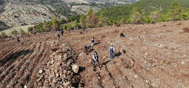 Binlerce Fidan Toprakla Buluştu