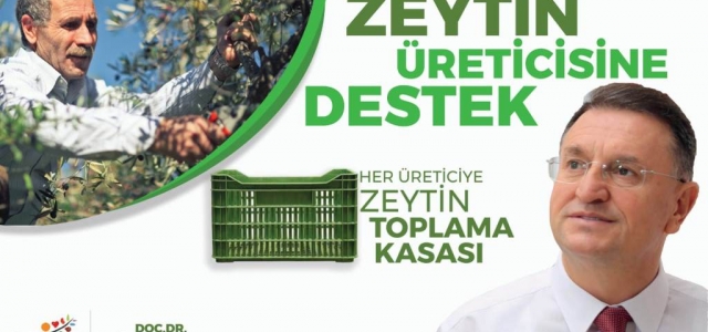 Zeytin Üreticisine Destek