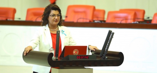 Chp'li Şahin: ‘Sığınma Evleri Yetersiz'