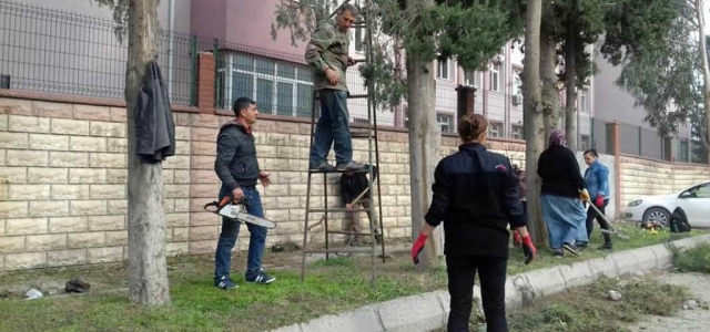 Daha Yeşil ve Güzel Bir İskenderun!