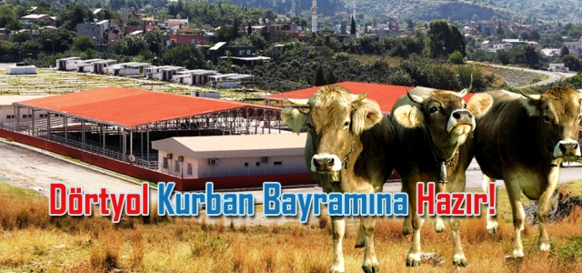 Dörtyol Kurban Bayramına Hazır!