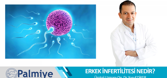 Erkek İnfertilitesi (Kısırlığı) Nedir?