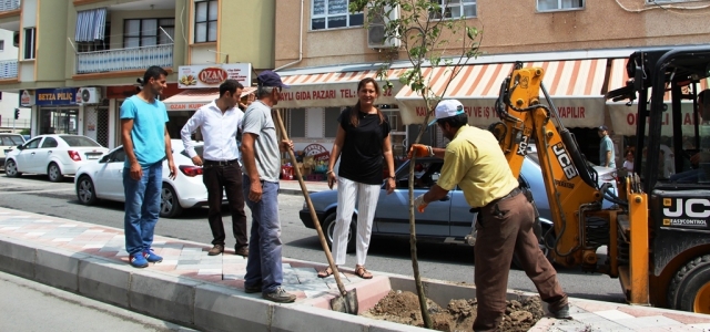 Ağaç ve Çiçeklendirme Çalışması!