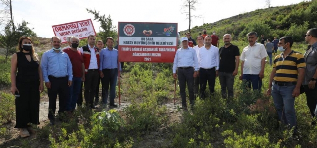 Fidanlar Yangın Yaralarına Merhem Olacak