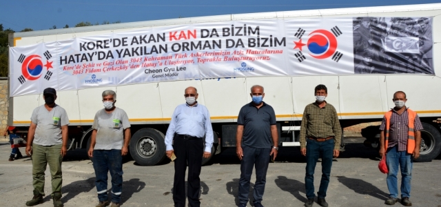 Güney Kore'li Firmadan Hatay'a 3043 Fidan