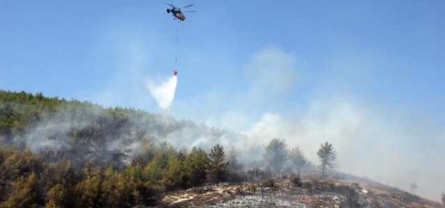 Hatay'da Orman Yangını!