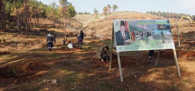 Hatay'ın Toprakları HBB ile Yeşilleniyor