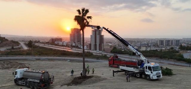HBB’den Ağaçlara Yeni Yaşam Alanı
