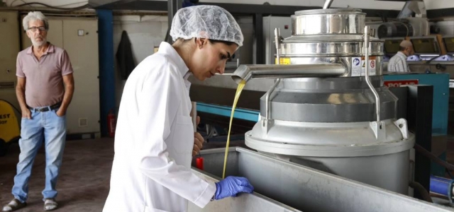 HBB'den Zeytinyağı Fabrikalarına Denetim