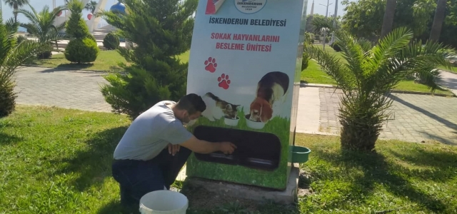 İskenderun Belediyesi Kısıtlamada da Sokak Hayvanlarının Yanında