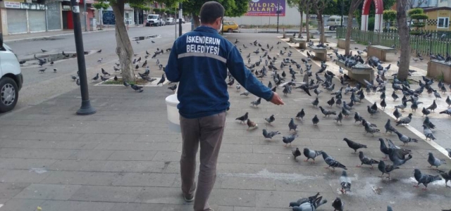 İskenderun Belediyesi Kuşları Unutmuyor