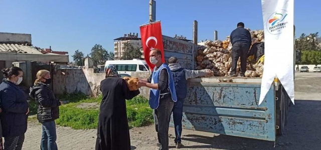 İskenderun Belediyesi Patates Dağıtımlarını Sürdürüyor