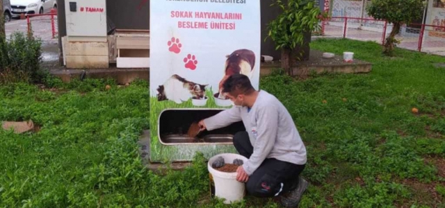 İskenderun Belediyesi Sokak Hayvanlarını Unutmuyor