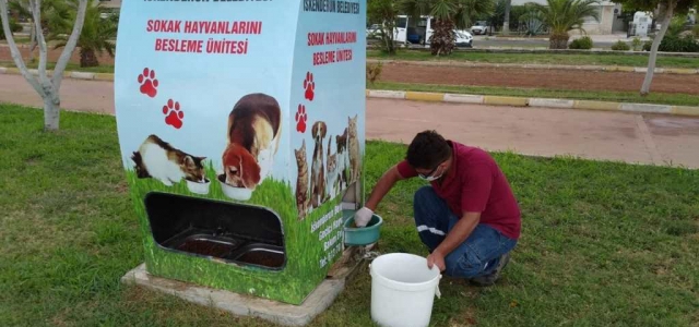 İskenderun Belediyesi Sokak Hayvanlarını Unutmuyor