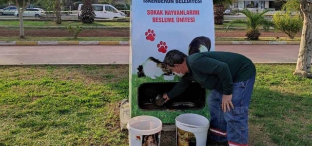 İskenderun Belediyesi Sokak Hayvanlarını Unutmuyor