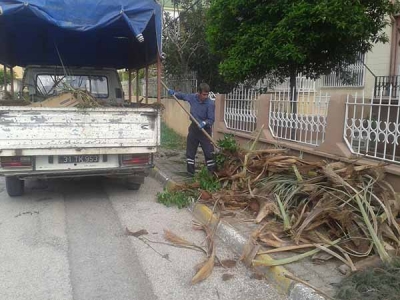 İskenderun Evimiz Parolası İle İş Yapıyoruz