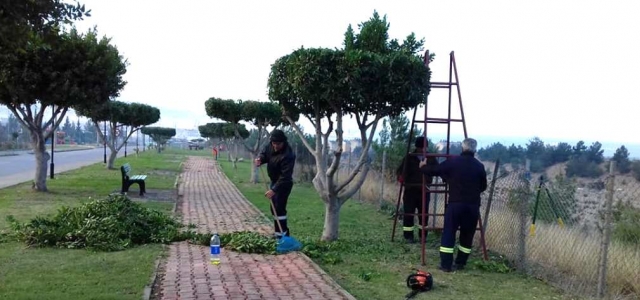 İskenderun'da Çevre Bakımı Devam Ediyor