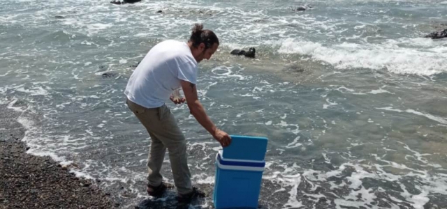 İSTE'den İskenderun'da Musilaj Kontrolü