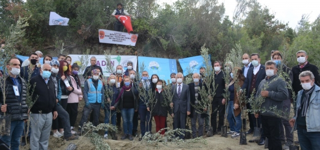 Katledilen Her Kadın İçin Bir Fidan