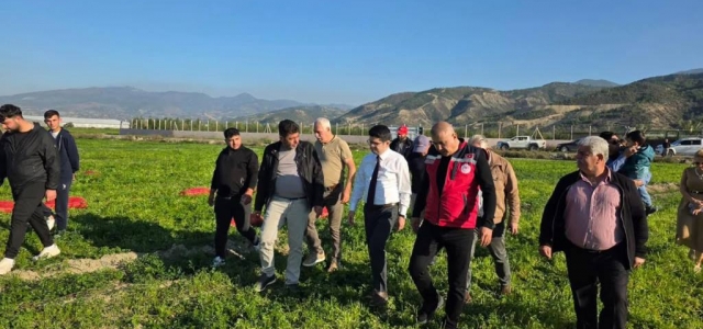 Kaymakam Eroğlu, Arsuz'da Maydanoz Hasadına Katıldı