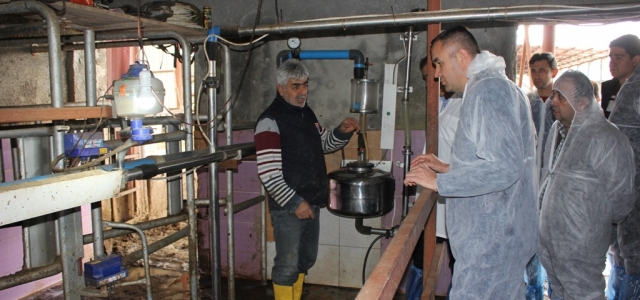 Kaymakam Sarı Besicilik İşletmesinde İncelemede Bulundu