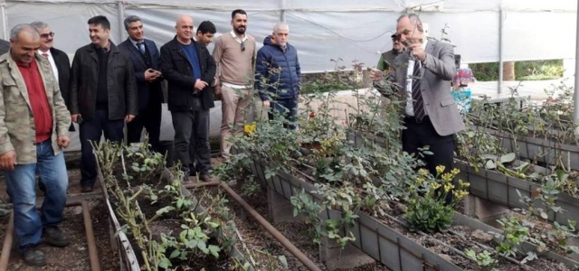 Kaymakam Yönden Ziraat Bahçelerini Gezdi