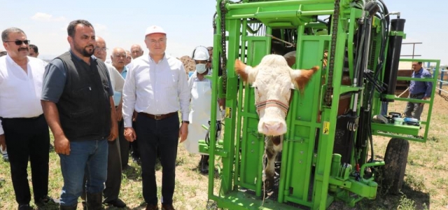 ‘Kentteki Hayvancılık Tarım Gibi Geriye Gidiyor'