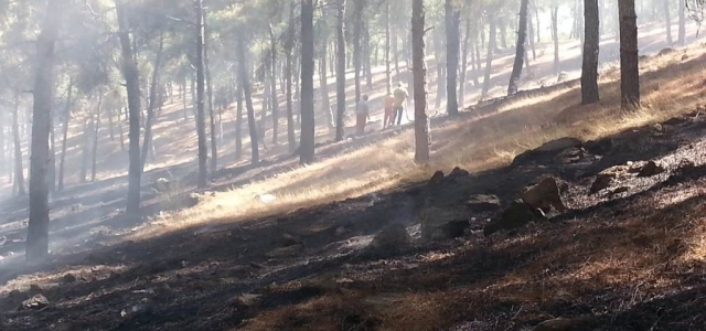 Kırıkhan'da Mesire Alanında Yangın