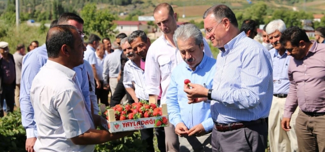 Kırsal Kalkınma Adımları Hayat Buluyor