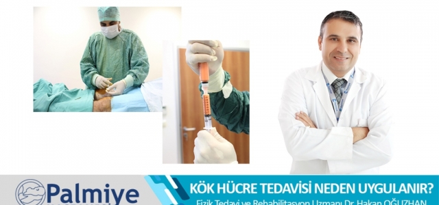 Kök Hücre Tedavisi Neden Uygulanır?