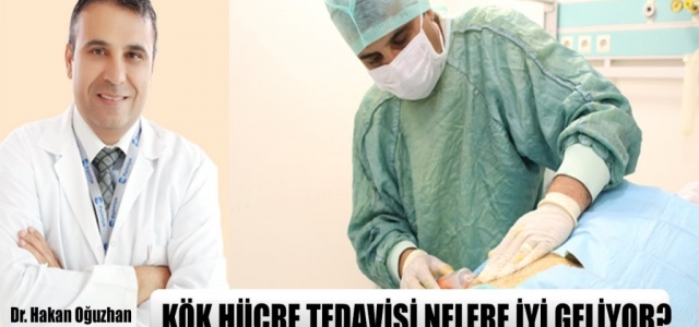 Kök Hücre Tedavisi Nelere İyi Geliyor?