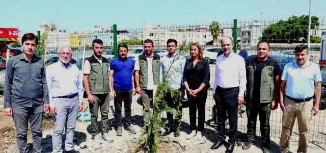 Konteyner Alanına Çam Fidanı Dikildi