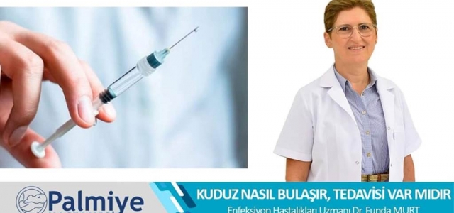 Kuduz Nasıl Bulaşır, Tedavisi Var Mıdır?