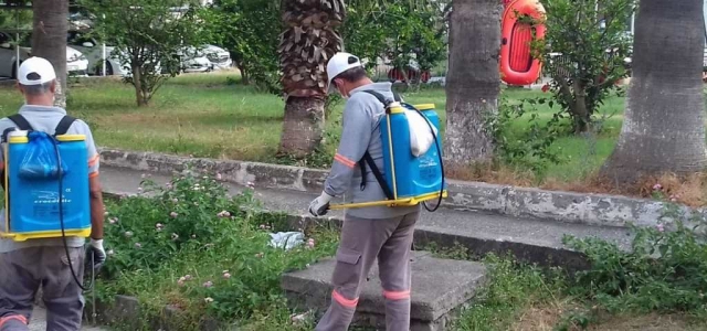 ‘Larva ile Mücadele Aralıksız Devam Ediyor'