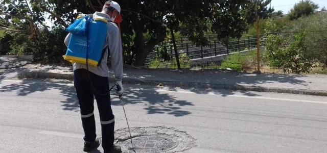 Larva ile Mücadele Sürüyor