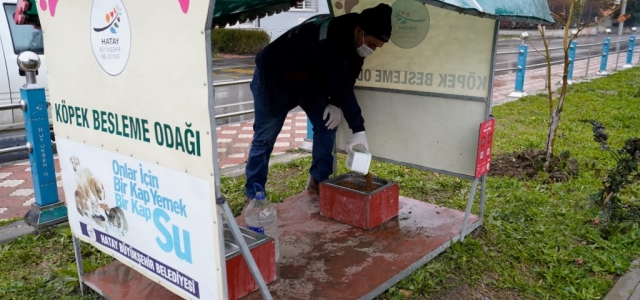 Mama Odakları Sevgiyle Doldu