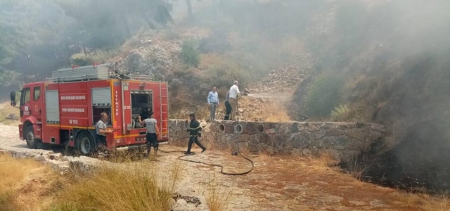 Maytap Orman Yangınına Neden Oldu