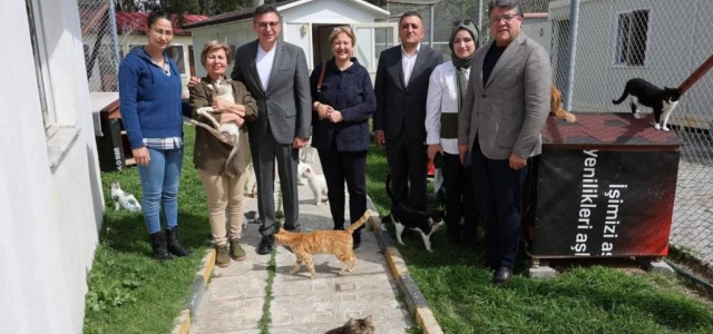 Mehmet Dönmez'den HBB Kedi Bakım ve Rehabilitasyon Merkezi'ne Ziyaret