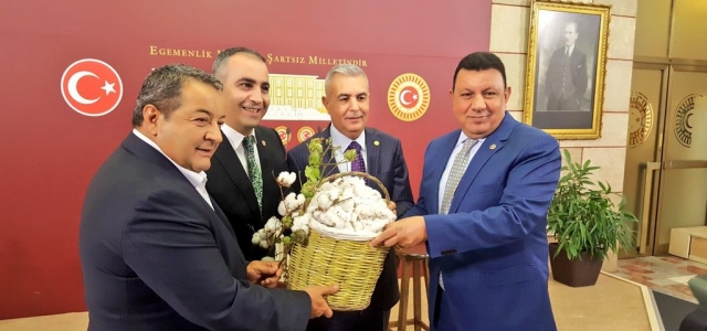 MHP Pamuk Üreticilerinin Sorunlarını Meclise Taşıdı