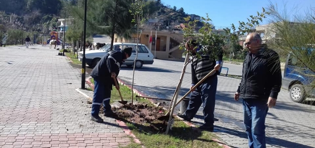 Park-Bahçe Ekipleri Daha Yeşil Ve Güzel Bir İskenderun Çalışıyor