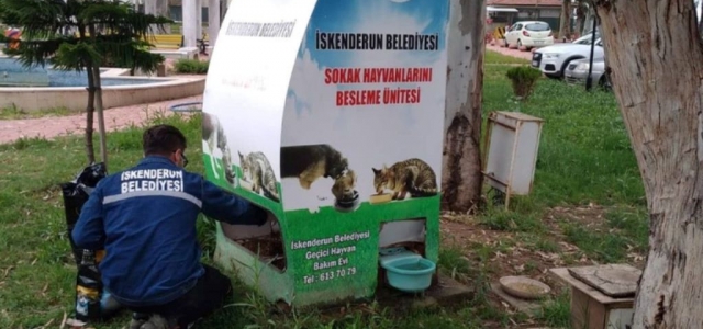 Sokak Hayvanları Unutulmuyor